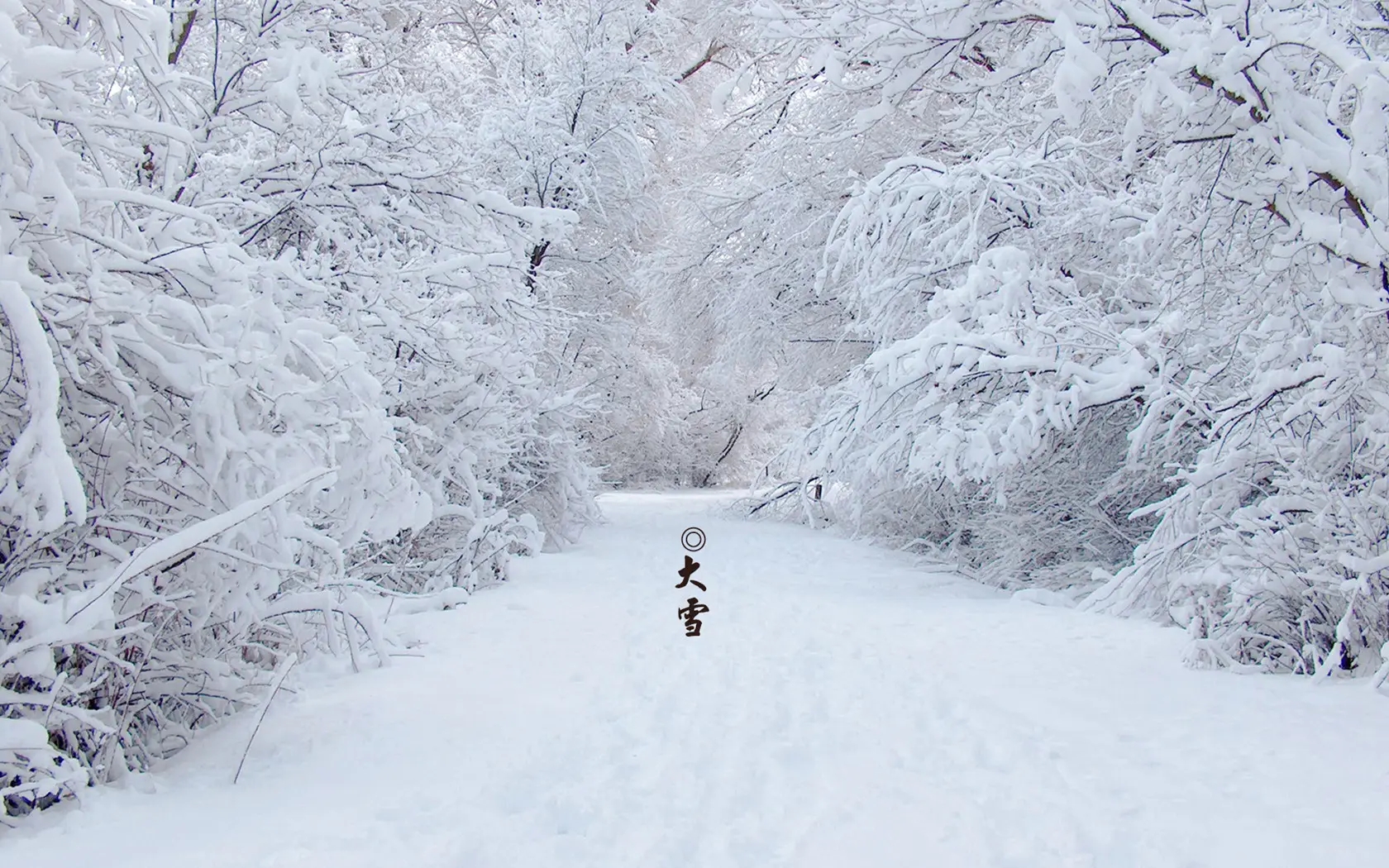 大雪 大雪